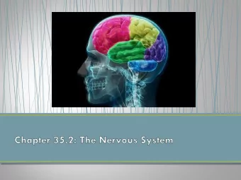 Key Concept: The  nervous system  controls and  coordinates functions  throughout the body  and