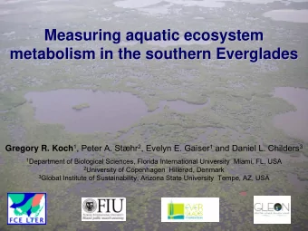 Measuring aquatic ecosystem  Measuring aquatic ecosystem  metabolism in the southern Everglades