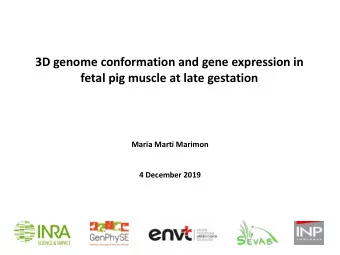 3D genome conformation and gene expression in  fetal pig muscle at late gestation  Maria Marti
