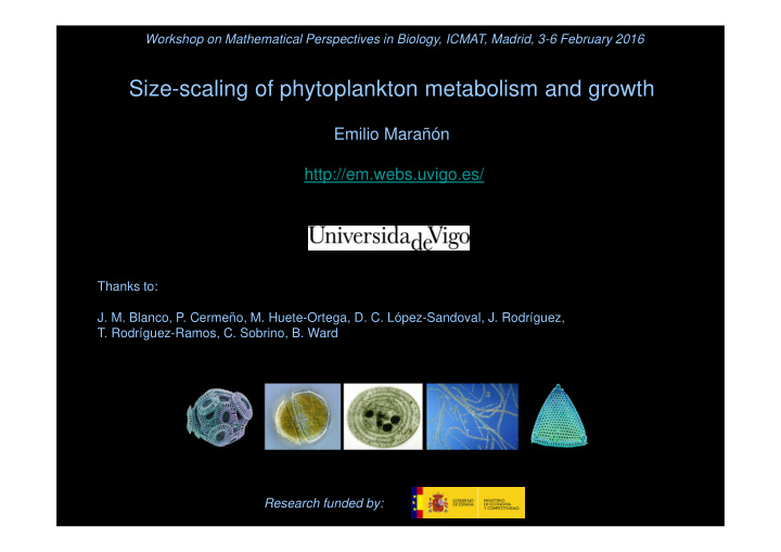 size scaling of phytoplankton metabolism and growth