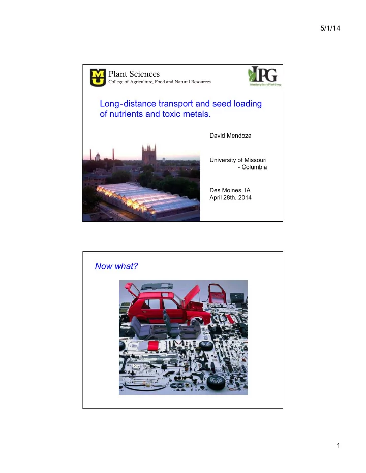 long distance transport and seed loading of nutrients and