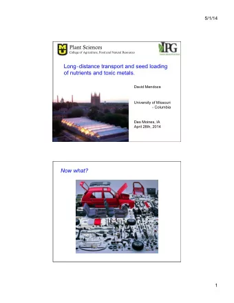 Long  distance transport and seed loading  of nutrients and toxic metals.  David Mendoza