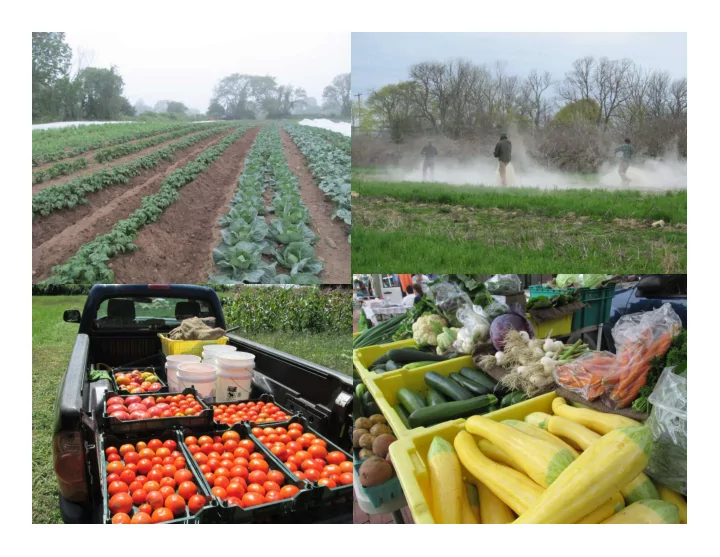 foliar sprays mid season corrections