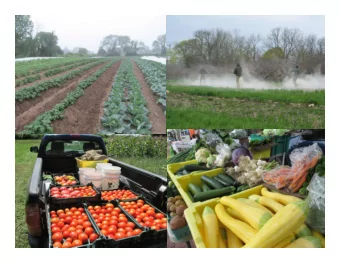 Foliar Sprays  Mid Season  Corrections  A GUIDE TO FOLIAR S PRAY S ELECTION AND  APPLICATION