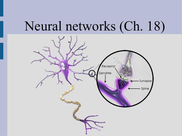 neural networks ch 18 biology brains