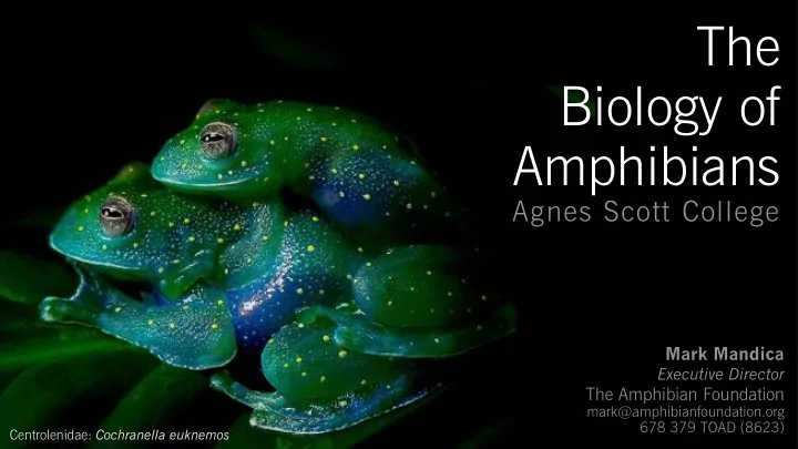 the biology of amphibians