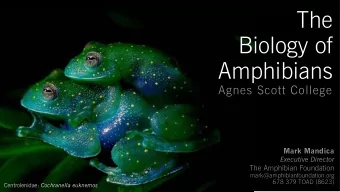 The  Biology of  Amphibians  Agnes Scott College  Mark Mandica  Executive Director  The Amphibian