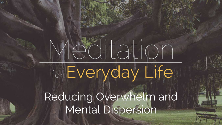 reducing overwhelm and mental dispersion what we re going