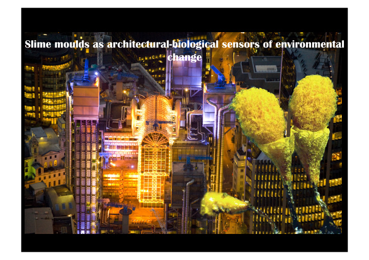 slime moulds as architectural biological sensors of