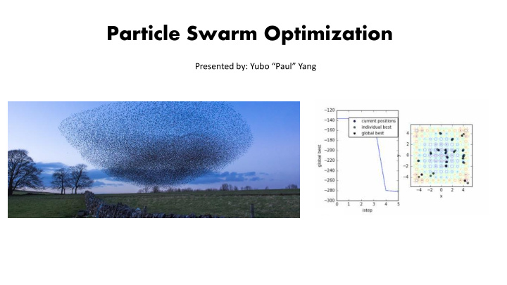 particle swarm optimization