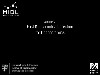 Fast Mitochondria Detection  for Connectomics  Kai Rickey Kang  Daniel Haehn  Vincent Casser