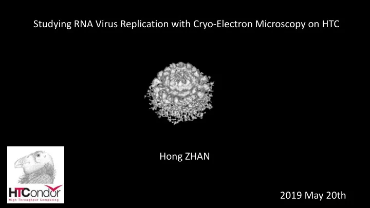 studying rna virus replication with cryo electron