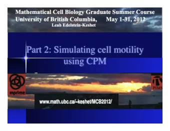 Part 2: Simulating cell motility using CPM ! Shape change and motility ! Resting cell ! Chemical