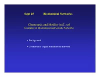 sept 25 biochemical networks chemotaxis and motility in e
