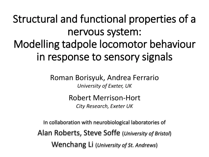 nervous system