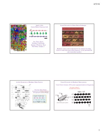 4/5/16  April 4, 2016  Neural Networks for Motor Pattern Production  Central Pattern Generator Lab