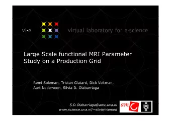 Large Scale functional MRI Parameter  Study on a Production Grid  Remi Soleman, Tristan Glatard,