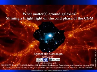 What matter(s) around galaxies?  Shining a bright light on the cold phase of the CGM Cantalupo et