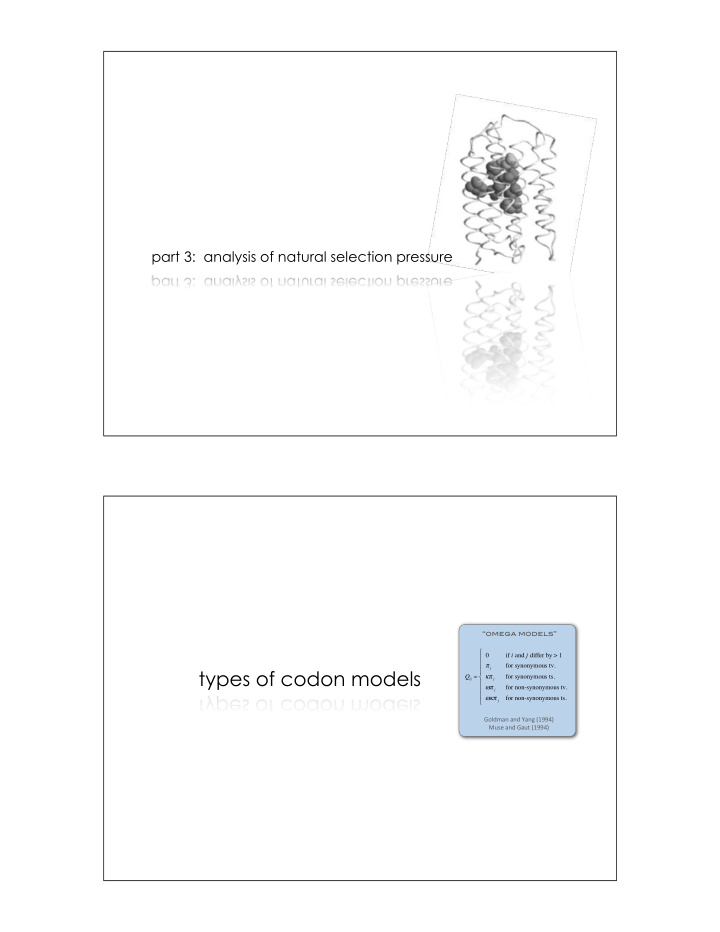 types of codon models