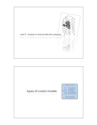 types of codon models   Q ij =    j  for synonymous ts.    j  for non-synonymous