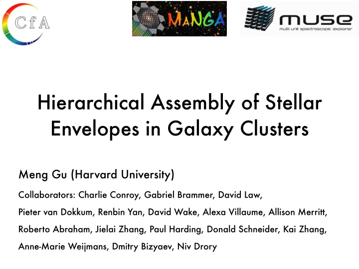 hierarchical assembly of stellar envelopes in galaxy