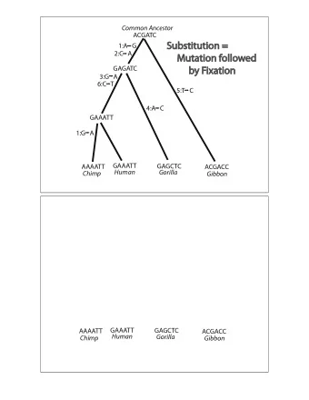 Substitution =  1:A   G  2:C   A  Mutation followed  GAGATC  by Fixation  3:G   A  6:C T  5:T   C