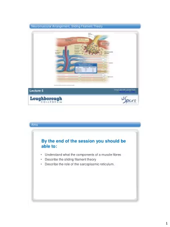 able to:    Understand what the components of a muscle fibres    Describe the sliding