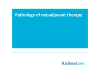 pathology of neoadjuvant therapy neoadjuvant therapy