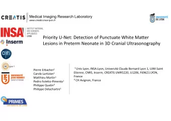 Priority U-Net: Detection of Punctuate White Matter  Lesions in Preterm Neonate in 3D Cranial
