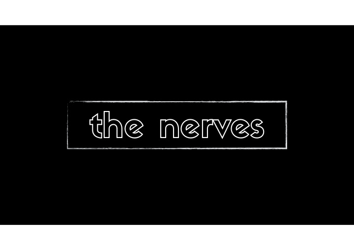 the nerves sensory