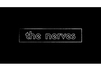 the nerves  sensory  radial  median  ulnar  median  median  sensory  median  median  ulnar  radial