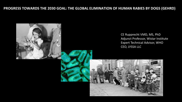 progress towards the 2030 goal the global elimination of