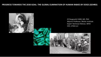 PROGRESS TOWARDS THE 2030 GOAL: THE GLOBAL ELIMINATION OF HUMAN RABIES BY DOGS (GEHRD)  CE