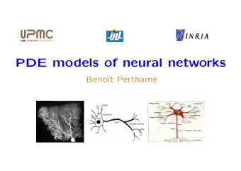PDE models of neural networks  Beno    t Perthame  Introduction The electrically active cells