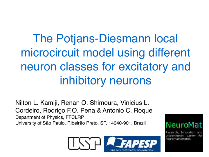 the potjans diesmann local microcircuit model using