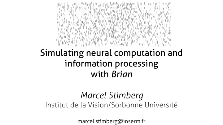 simulating neural computation and information processing