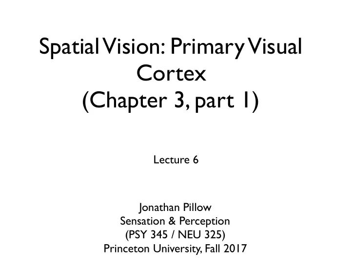spatial vision primary visual cortex chapter 3 part 1