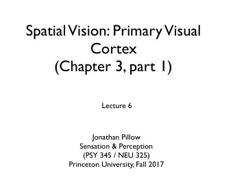Spatial  Vision: Primary  Visual  Cortex  (Chapter 3, part 1)  Lecture 6  Jonathan Pillow