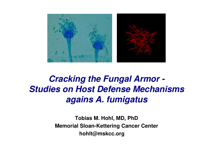 cracking the fungal armor studies on host defense