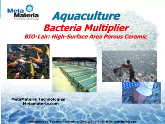 Aquaculture  Bacteria Multiplier  BIO-Lair: High-Surface Area Porous Ceramic  MetaMateria