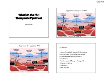 Whats in the PAH  Nitric Oxide  Pathway  Pathway  Pathway  Endothelial cells  Endothelial cells