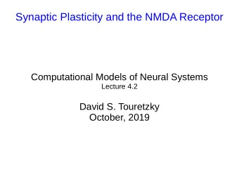 Synaptic Plasticity and the NMDA Receptor  Computational Models of Neural Systems  Lecture 4.2