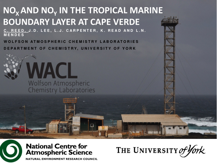 no x and no y in the tropical marine boundary layer at