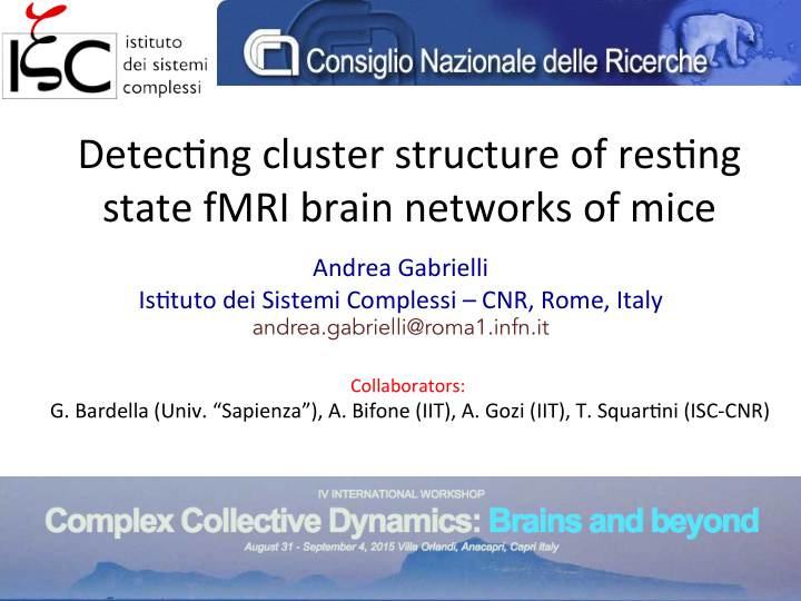 detec ng cluster structure of res ng state fmri brain