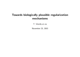 Towards biologically plausible regularization  mechanisms  T. Vi  eville et cie  November 25,