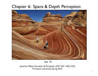 chapter 6 space depth perception