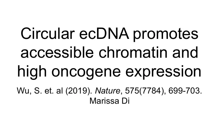 circular ecdna promotes accessible chromatin and high