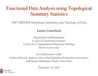Functional Data Analysis using Topological  Summary Statistics  NSF TRIPODS Workshop: Geometry and