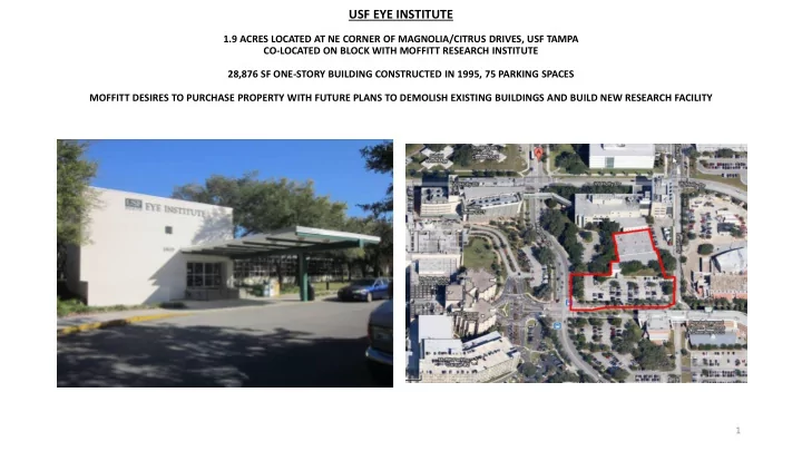 usf eye institute
