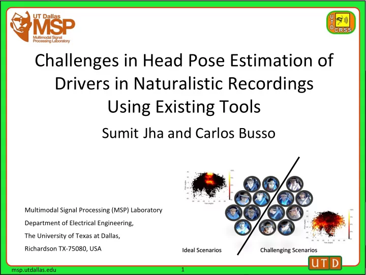 drivers in naturalistic recordings
